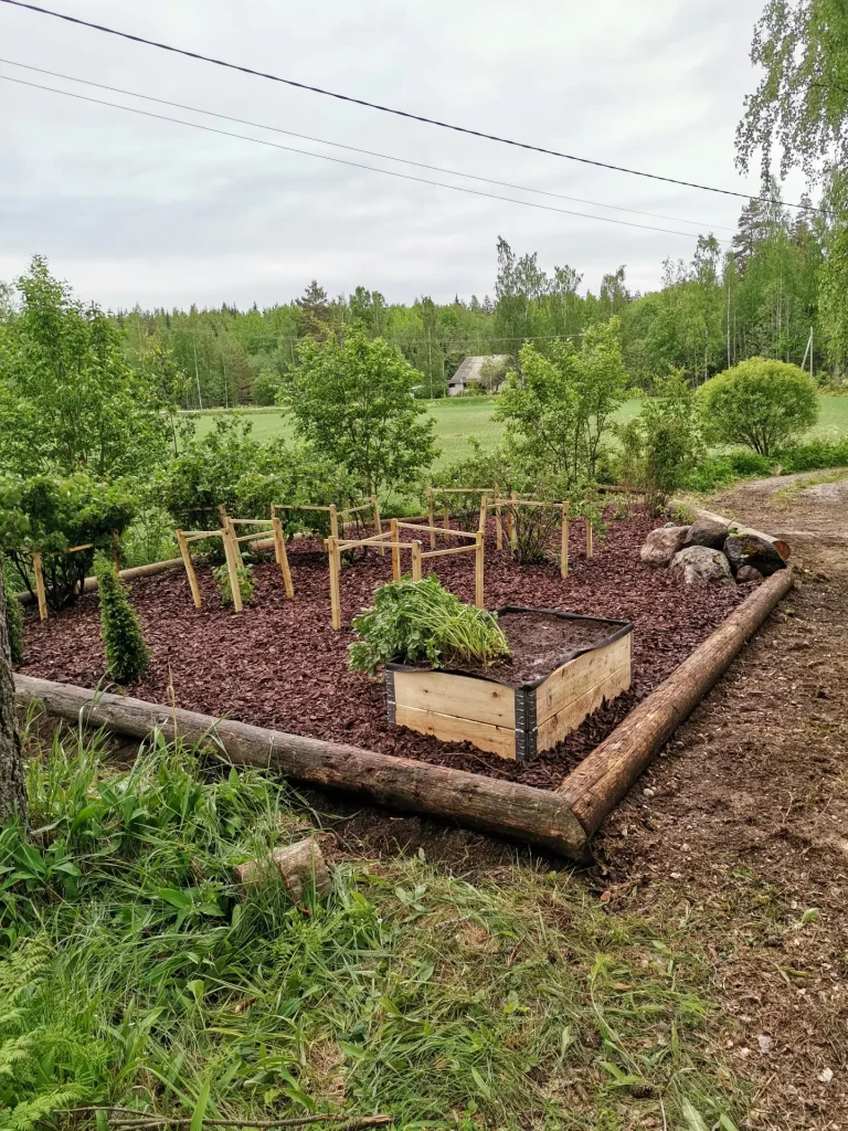 Metsäpalvelut, Arboristi