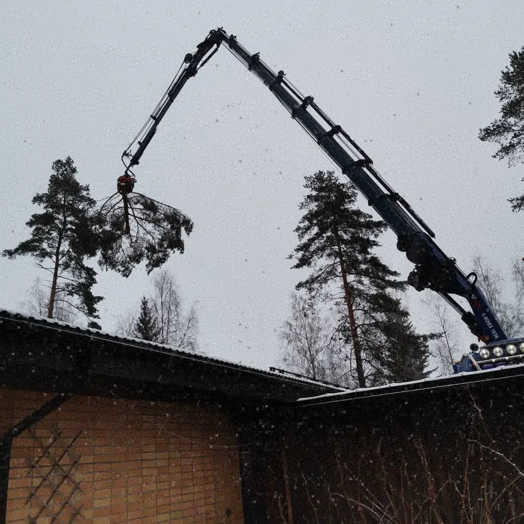 Metsäpalvelut kurottaja